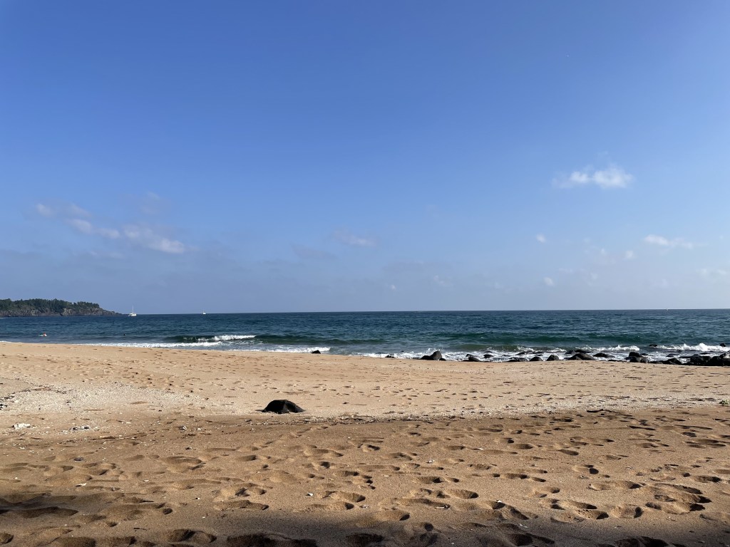 Tips for planning a trip to Jeju island, South&nbsp;Korea