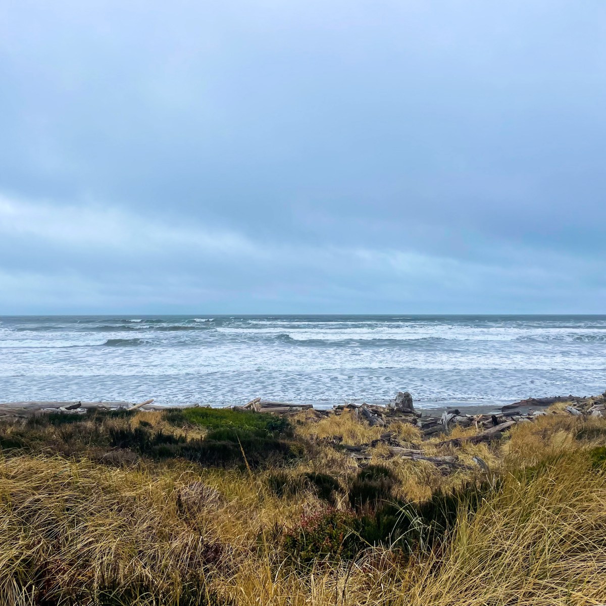 Grayland, Washington in the late&nbsp;winter