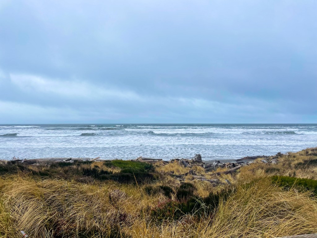 Grayland, Washington in the late&nbsp;winter