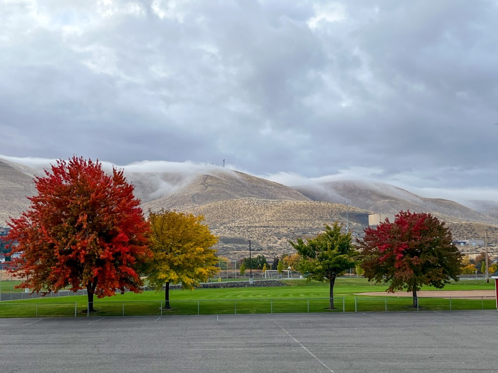 On submission in Christian&nbsp;marriage