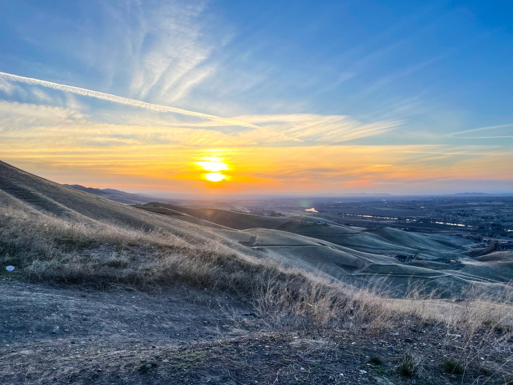 On stewarding the&nbsp;body