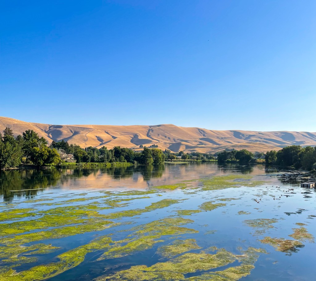 Consistency of thought